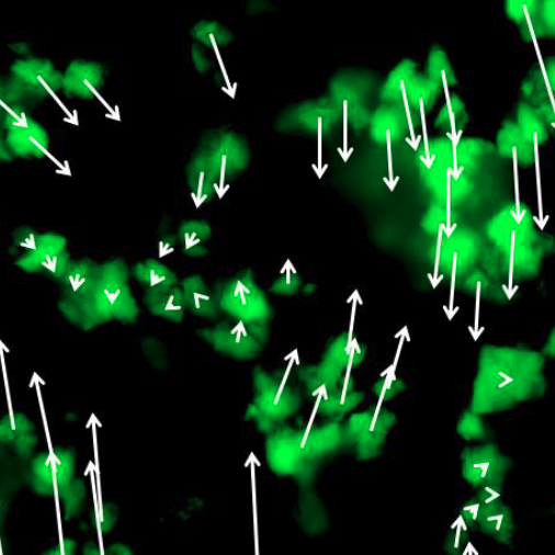 particles.png